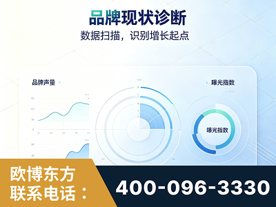 巴彦淖尔-品牌现状诊断