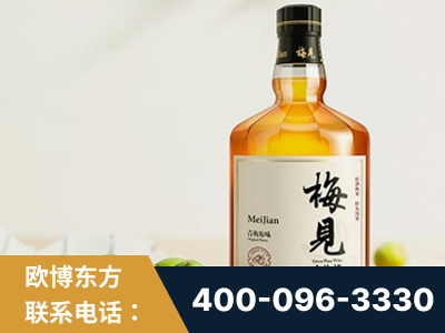 巴彦淖尔-梅见青梅酒